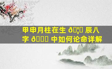 甲申月柱在生 🦍 辰八字 🐞 中如何论命详解